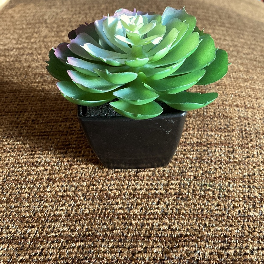Fake plant
